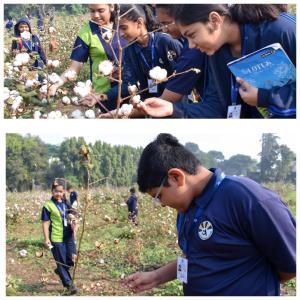 Cotton Research Centre