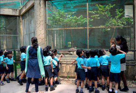 Prep Learners Field Trip to Zoo
