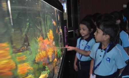 Prep Learners Trip to Aquarium