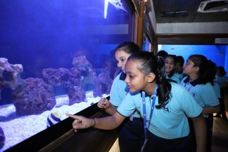 aqurium-1