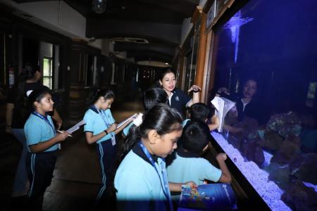 aqurium-2