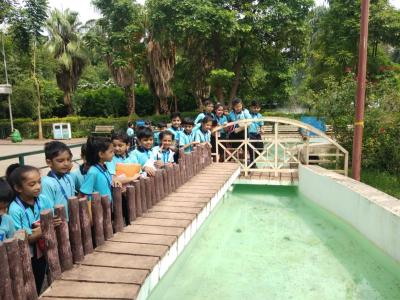 aqurium-3